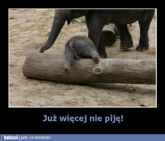 Już więcej nie piję!