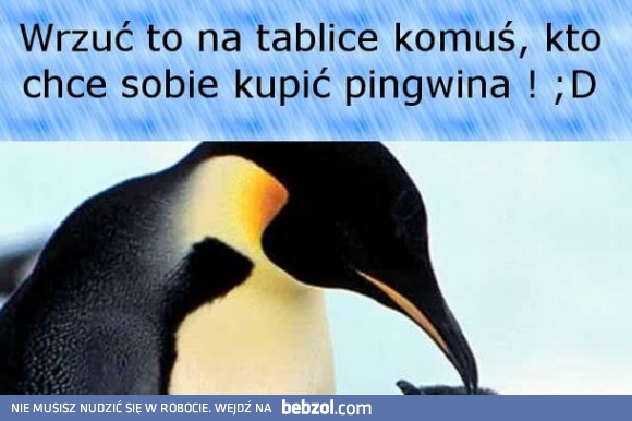 Słyszałem, że jesteś zainteresowany