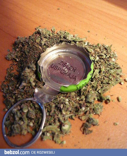 I jak tu się nie zgodzić?