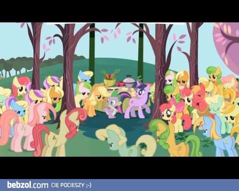 Nasz Polski Kucyk - Patatajnia się je***