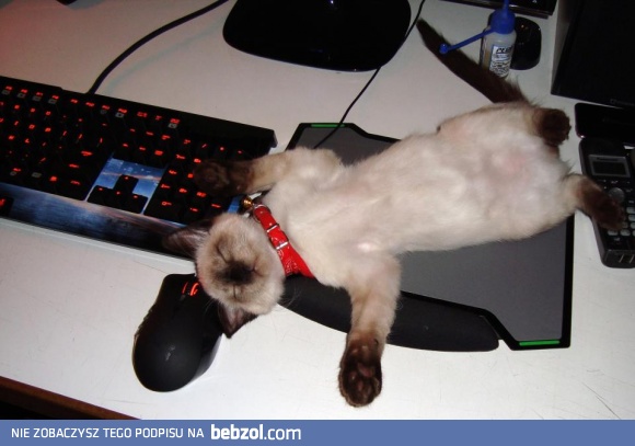 Najlepsze miejsce w całym domu