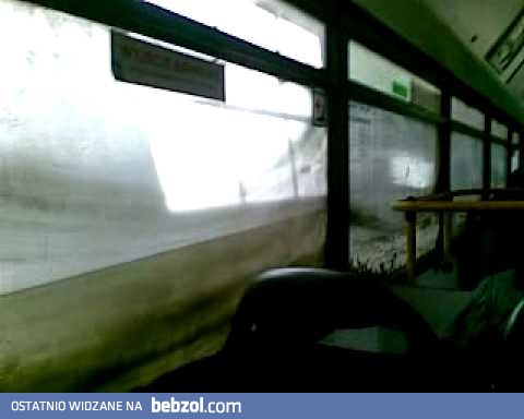 Autobus z niezłym widokiem