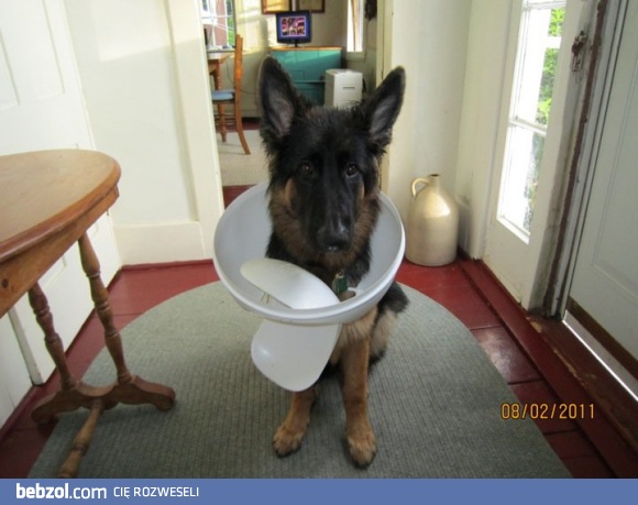 Ktoś grzebał w śmieciach, ale go pogoniłem...