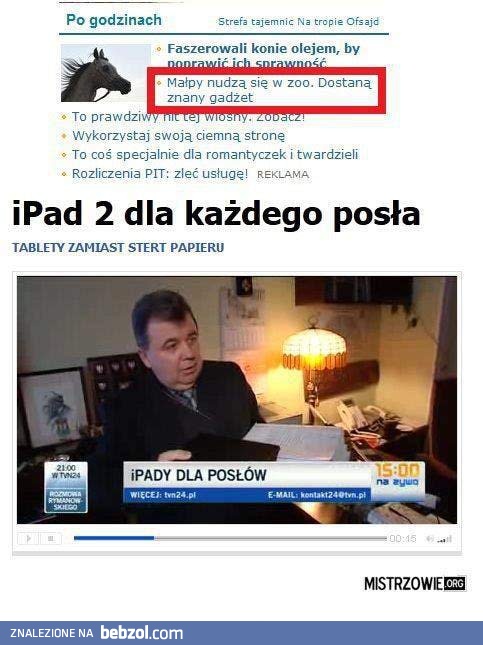 Gadżety dla zwierzaków