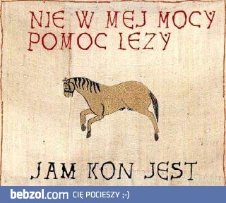 Nie w mej mocy pomoc leży!