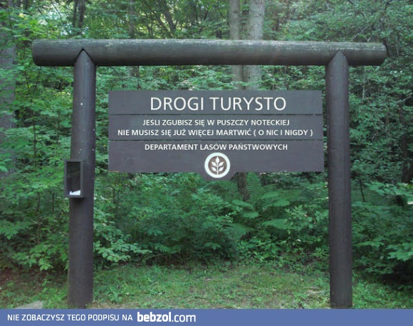 Zgiń przepadnij...
