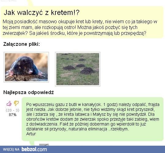 Drastyczny sposób na krety