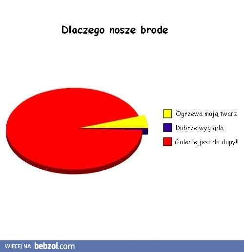 Zapuszczanie brody
