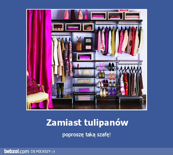 Zamiast tulipanów