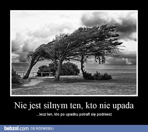 Nie jest silnym ten, kto nie upada
