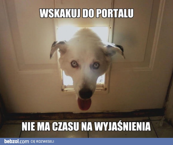 Wskakuj!
