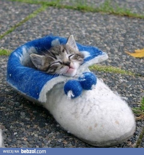 Grunt to wygodne łóżeczko