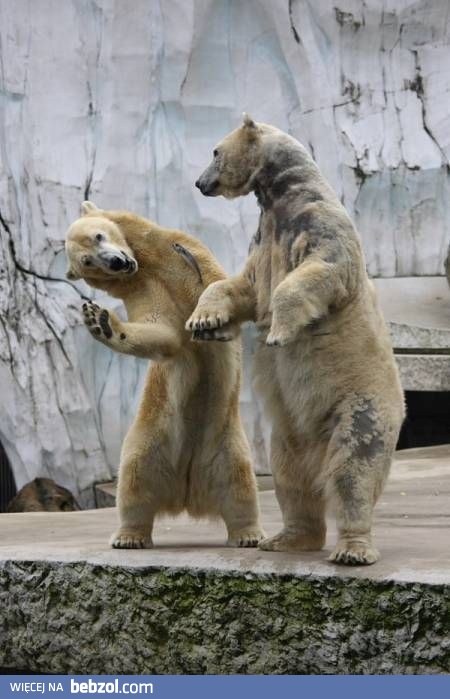 Kurs tańca dla początkujących