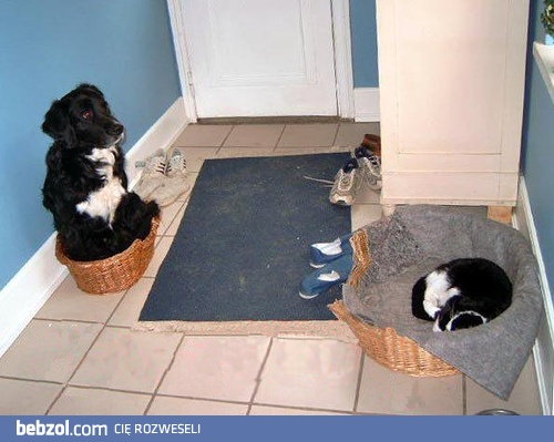 Wiadomo kto tam rządzi