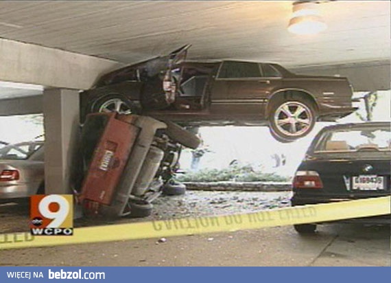 Mistrzowie parkowania w akcji