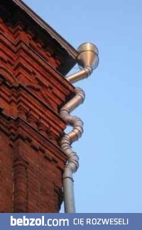 Wtapia się w otoczenie