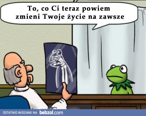 Kermit pozna smutną prawdę