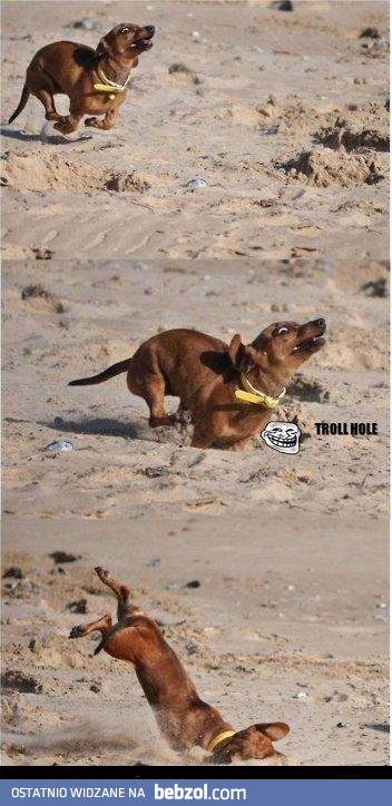 I po co ja ją wykopałem...