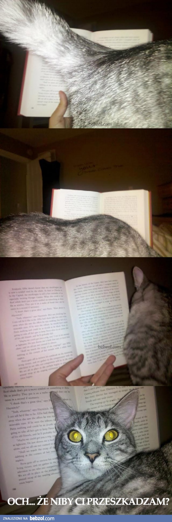 Wybacz zacny właścicielu