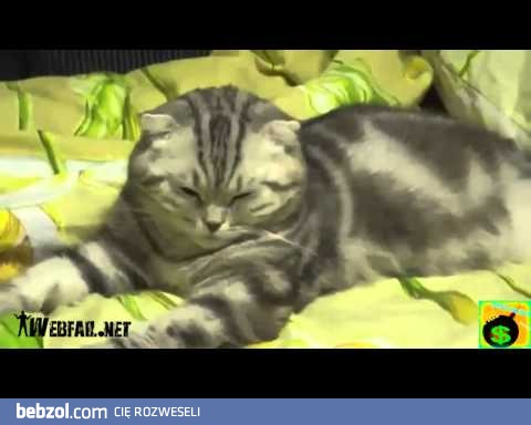 Marcowa kompilacja wpadek