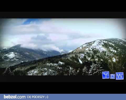 Sportowcy którym się udało