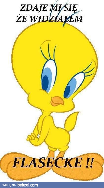 To kto dziś stawia?