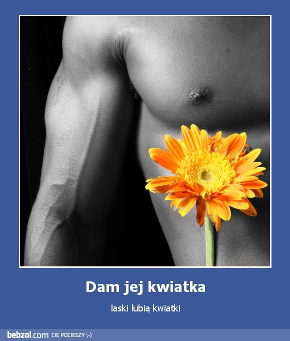 Dam jej kwiatka