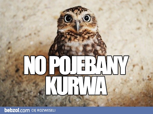 No kur*a!