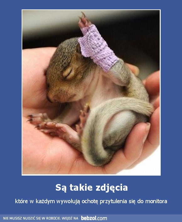 Są takie zdjęcia