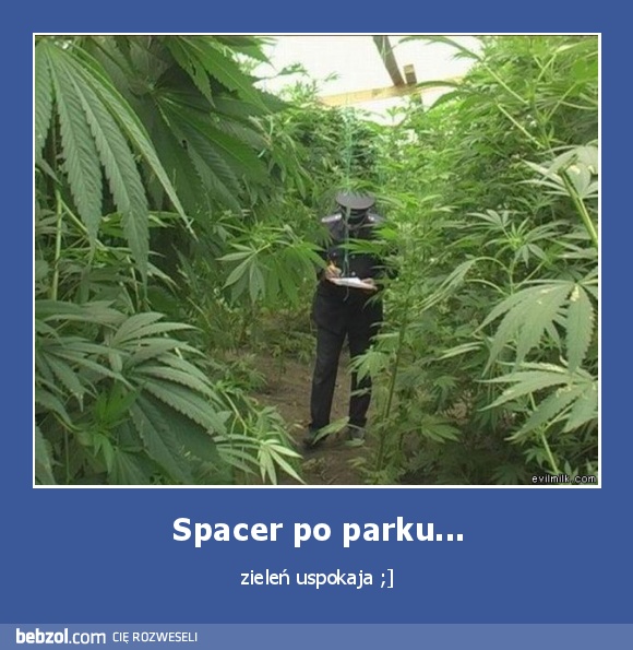 Spacer po parku...