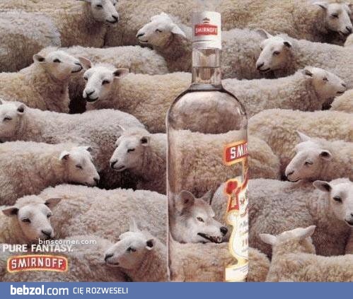 Co robi z Tobą alkohol 2