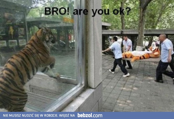 Nic Ci nie jest braciak?!