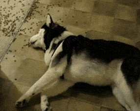 Jeszcze troszeczkę...