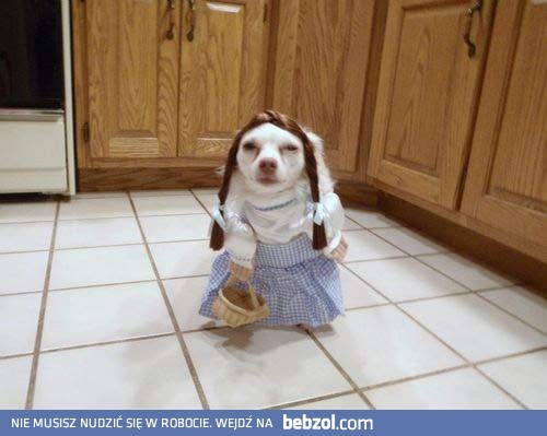 Cukierek albo psikus