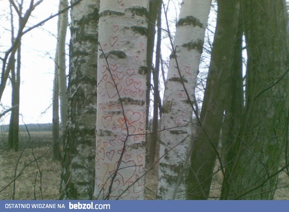 Las zaatakował nowy wirus