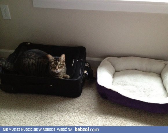 Nie rozumiem o co Ci chodzi