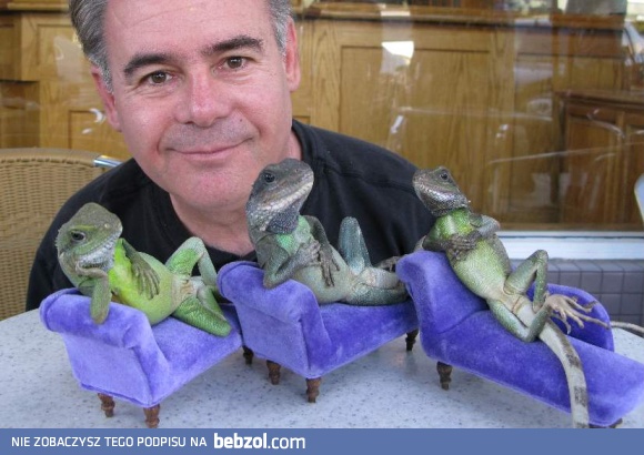 Jaszczurki się luzują