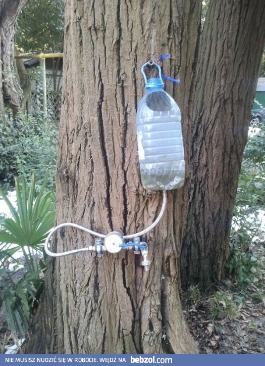 Patent działkowicza