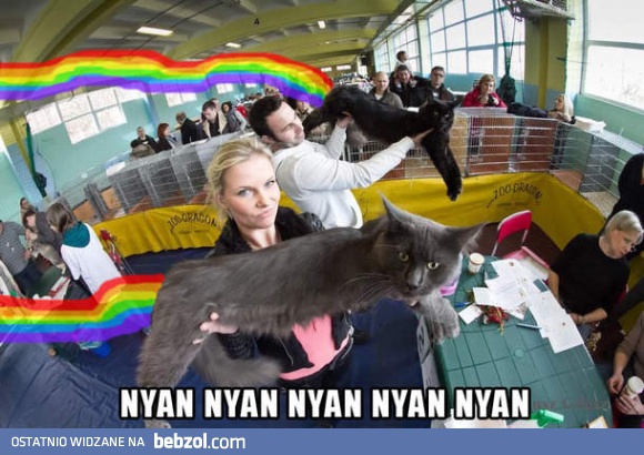 Nyan Show Wałbrzych