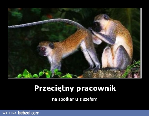 Przeciętny pracownik