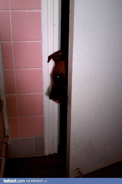 Skończyłeś już bo też mi się chce...