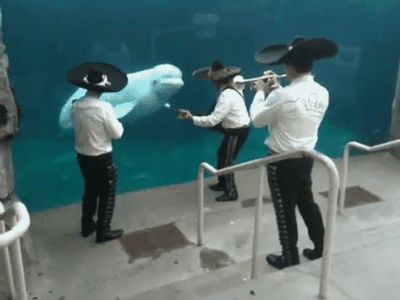 Nowy członek zespołu