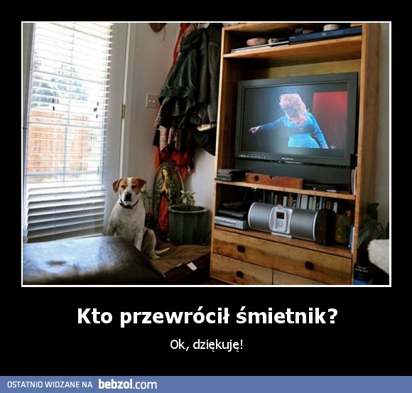 Kto przewrócił śmietnik?