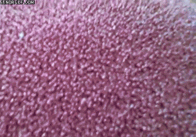 Nawet nie wiesz kiedy paczy