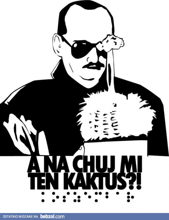 Na ch*j mi ten kaktus?