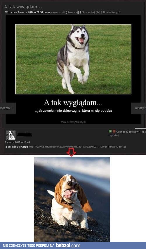 Tak wyglądam, gdy...