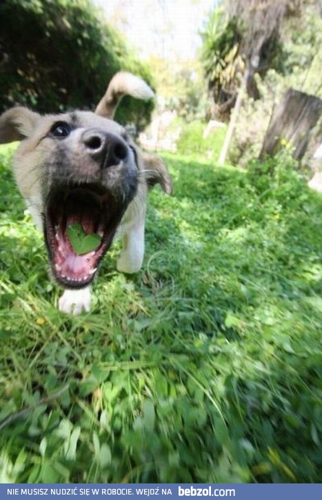 Znalazłem Ci serduszko