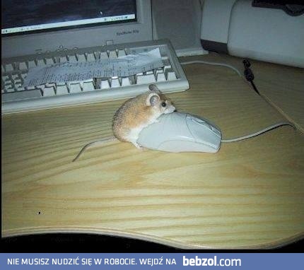 Tyle razy mu powtarzałem, a On ciągle to samo