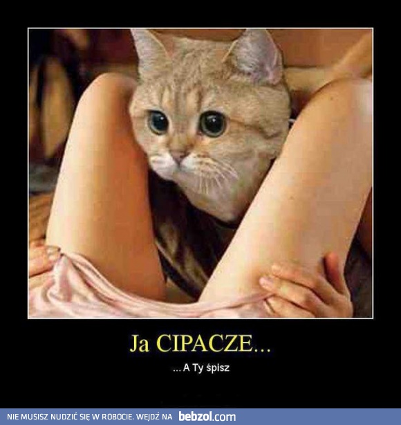 Ja cipacze, a ty...