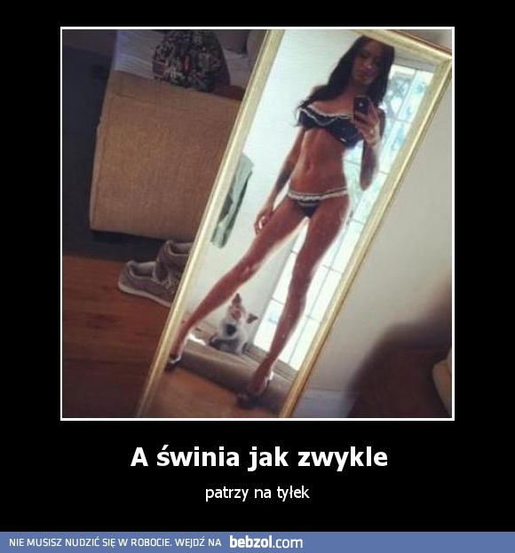 A świnia jak zwykle